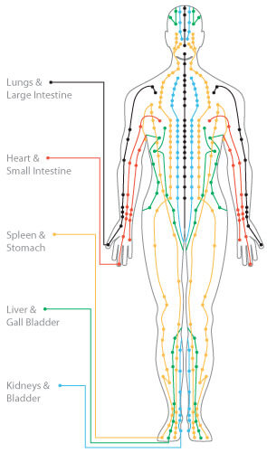 Acupuncture St. George - Acupuncture Drawing